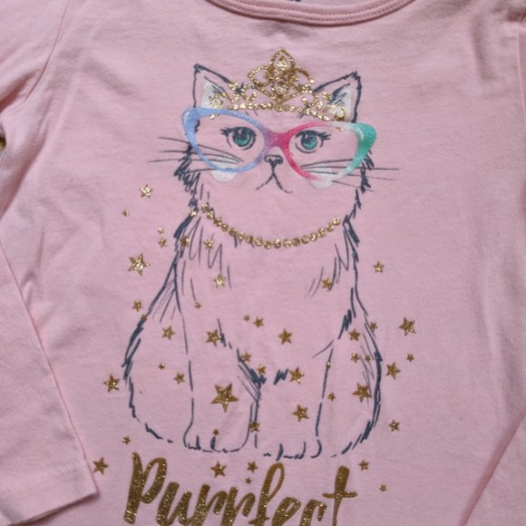 🛍️ BUNDLE ONLY | Carter's pink cat Purrfect top 4T - Picture 2 of 8